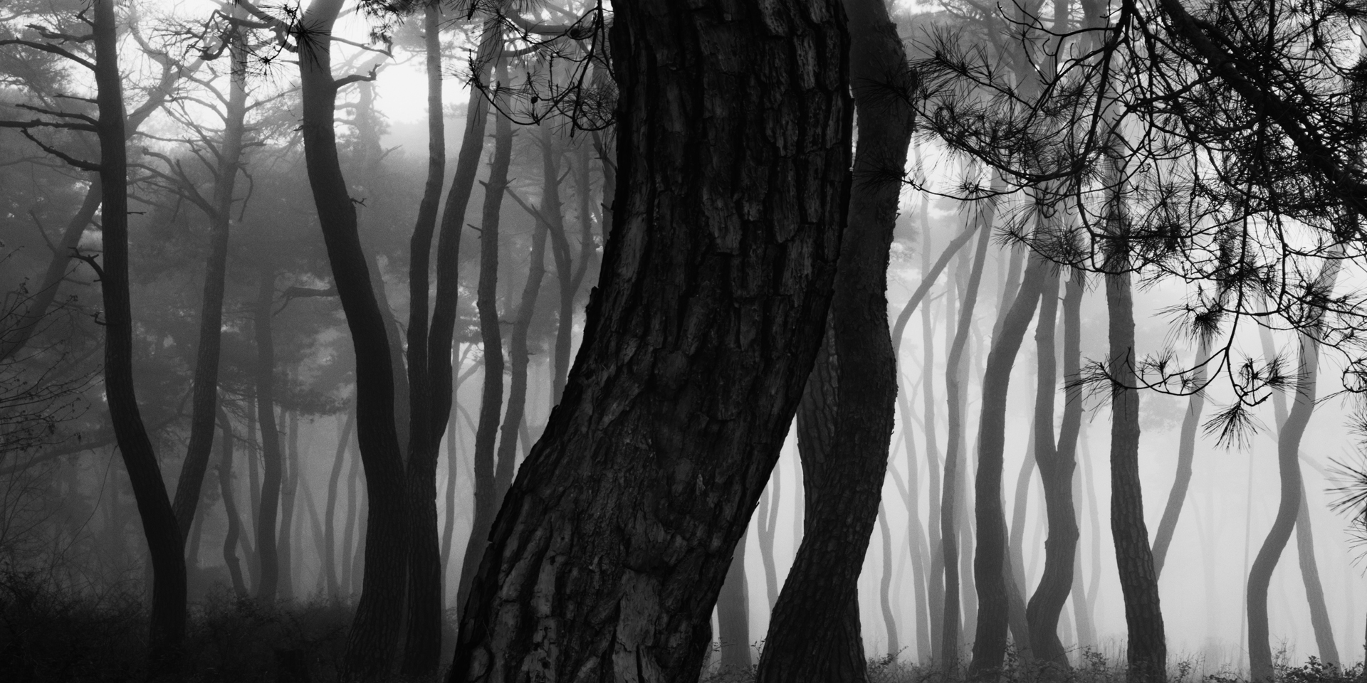 snm1a-196h_5107813_240608