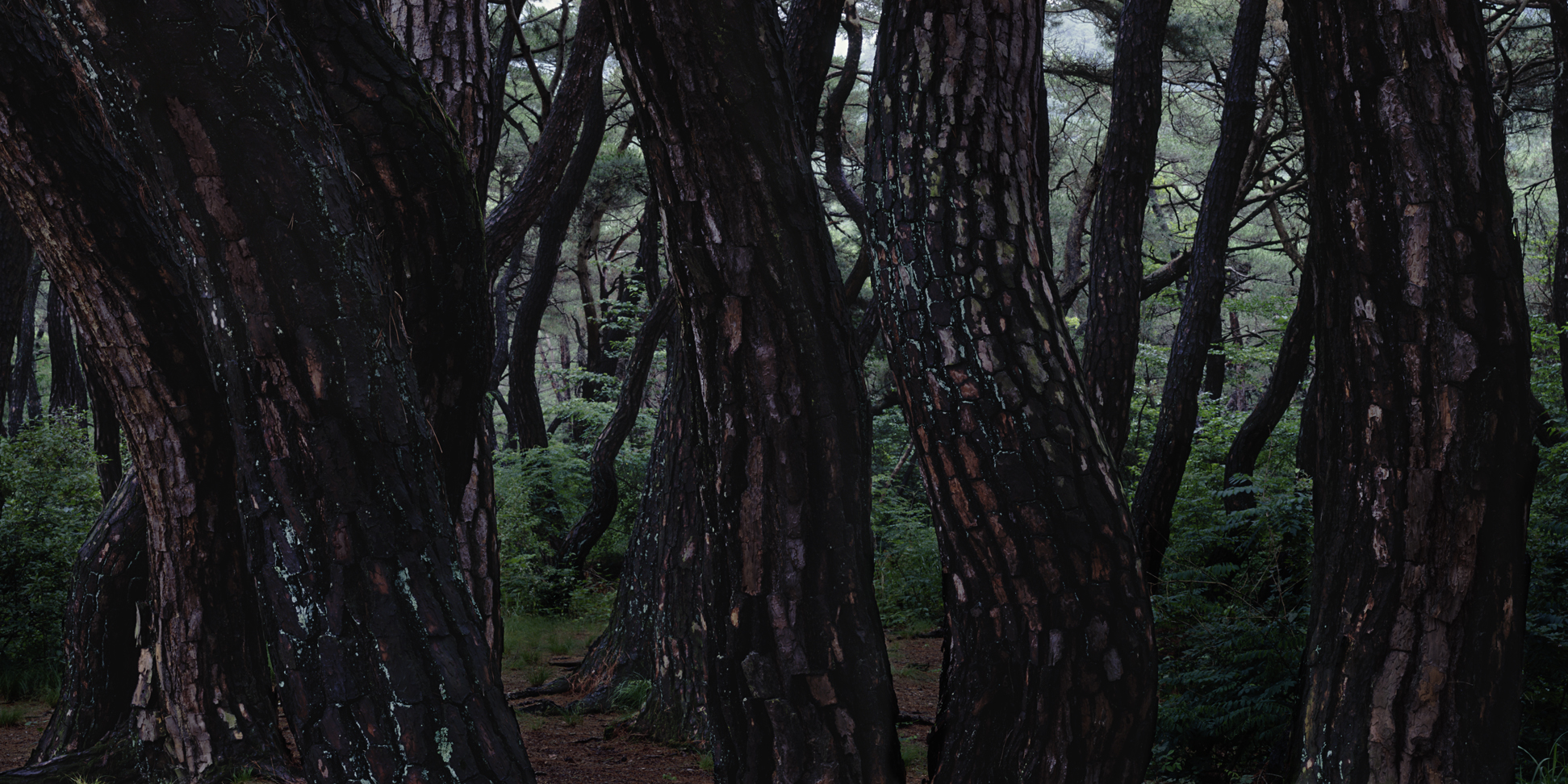 snm1a_040hc_5106164_150508