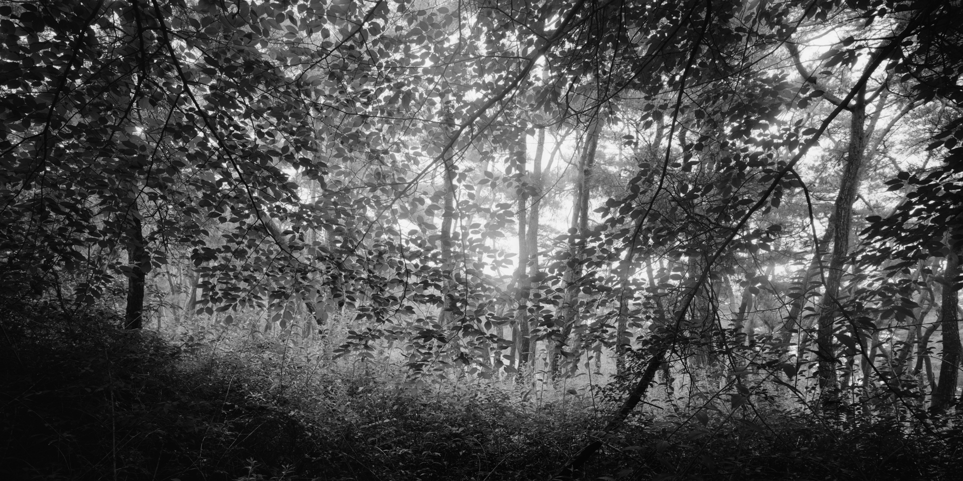 snm1a_097h_5099626_130707