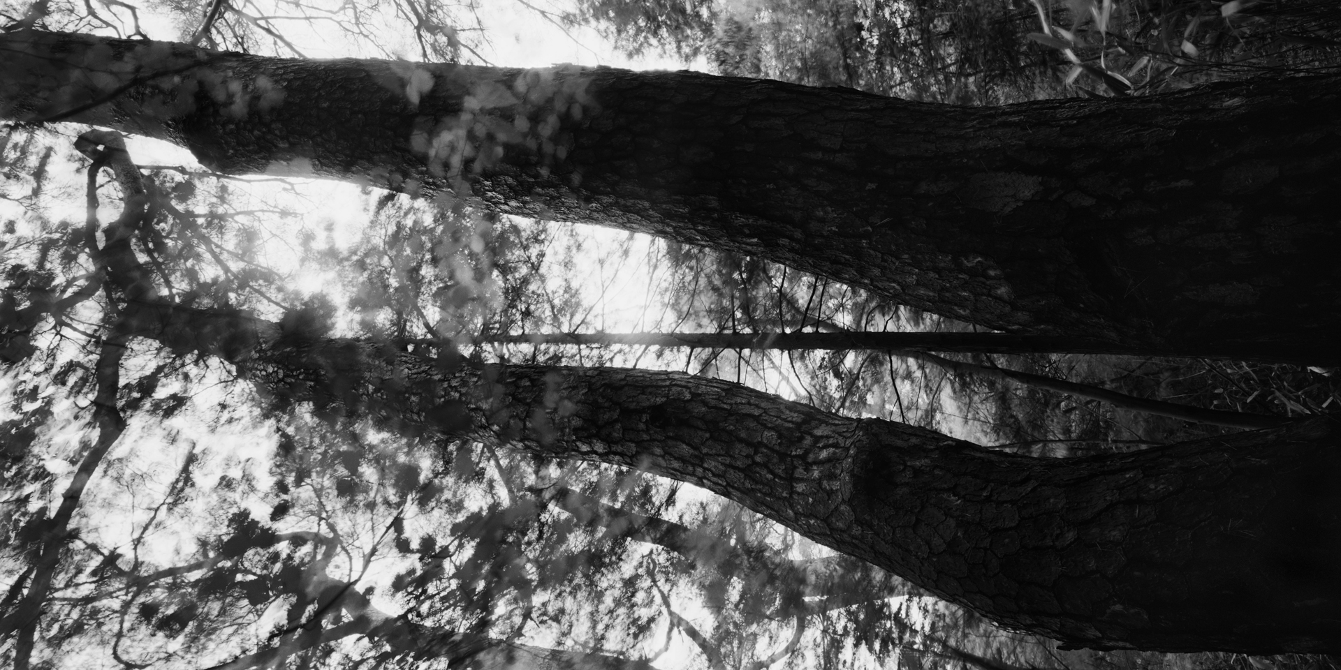 snm1a_099h_5099626_120707