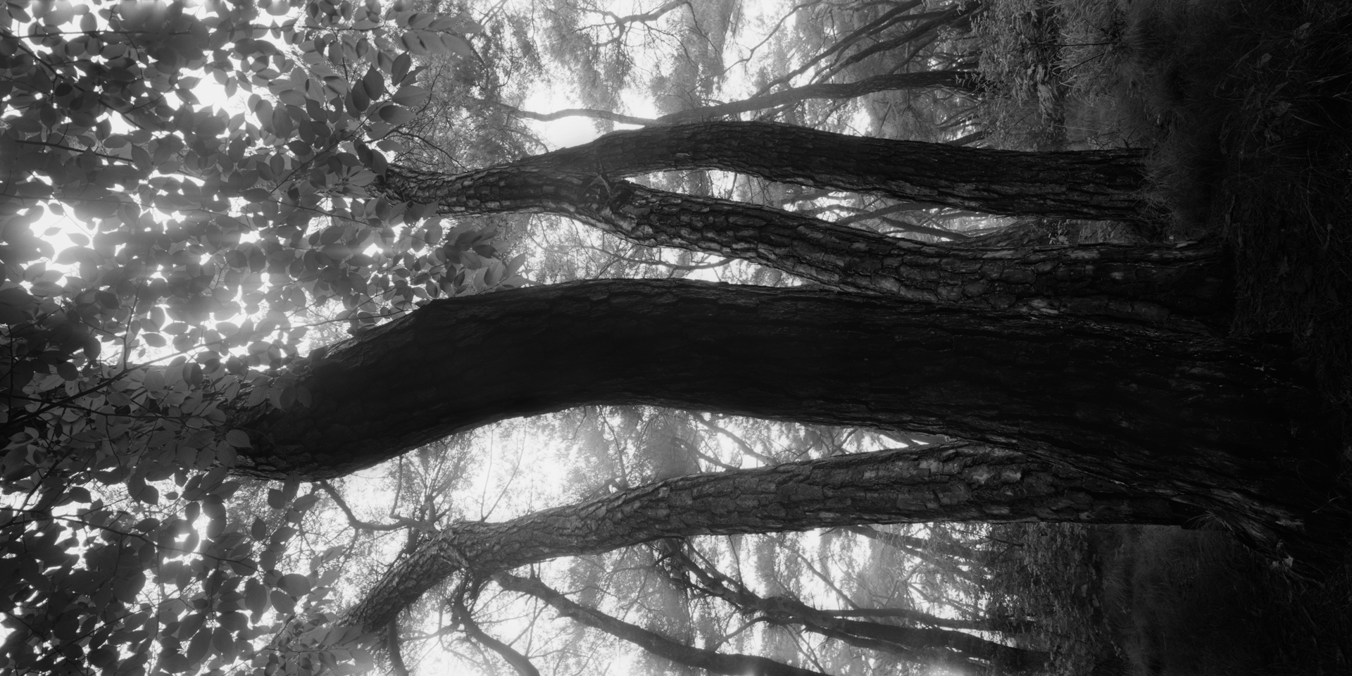 snm1a_100v_5099626_130707