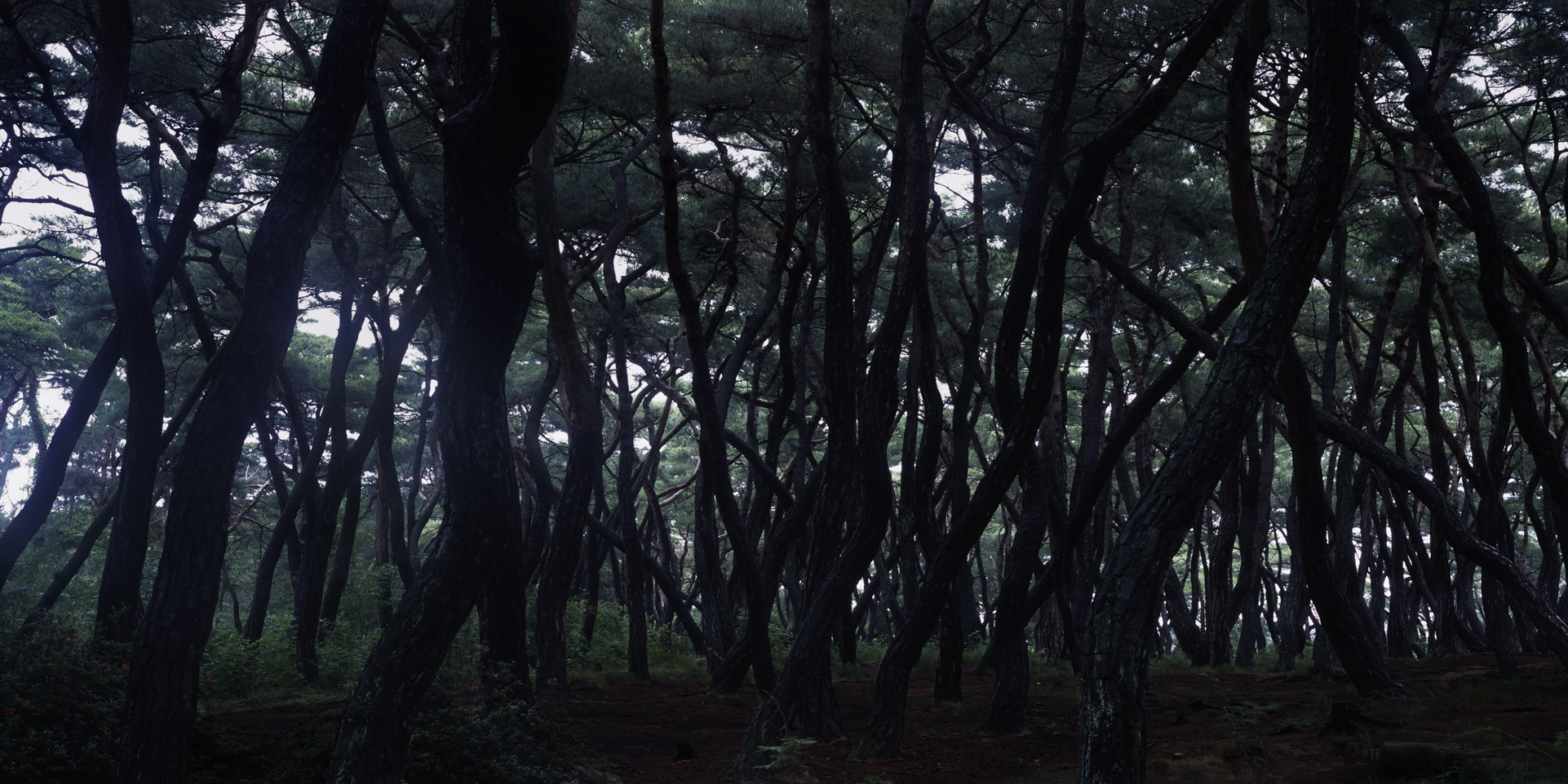 snm1a_152h_5106164_210508