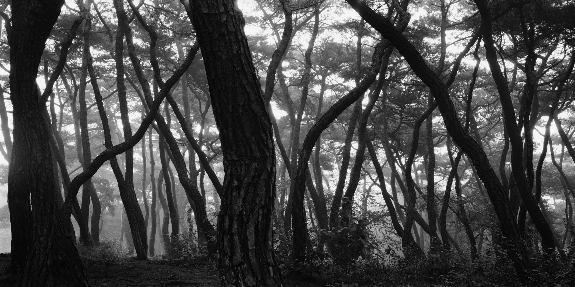 snm1a_153h_5106164_280408