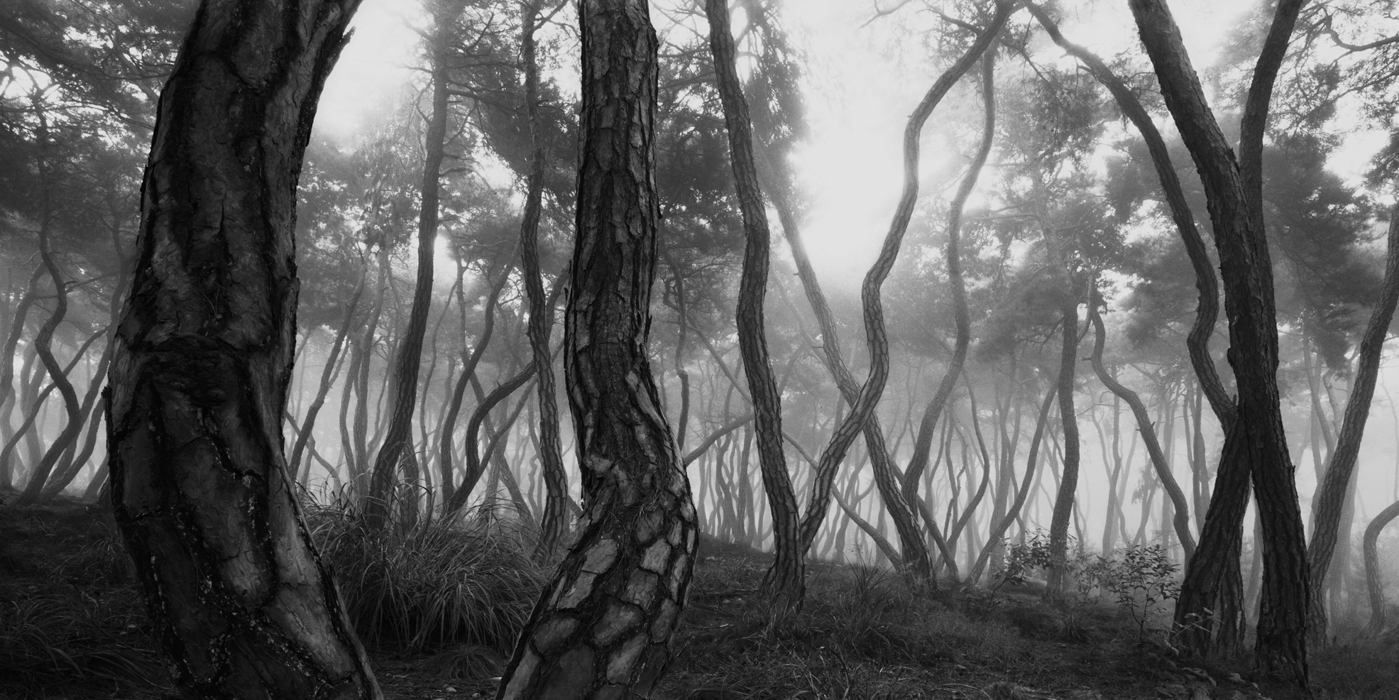 snm1a_155h_5106164_150508