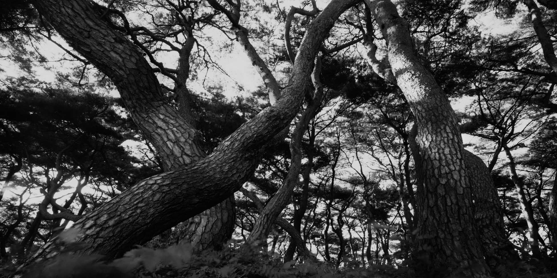 snm1a_156h_5106164_200508