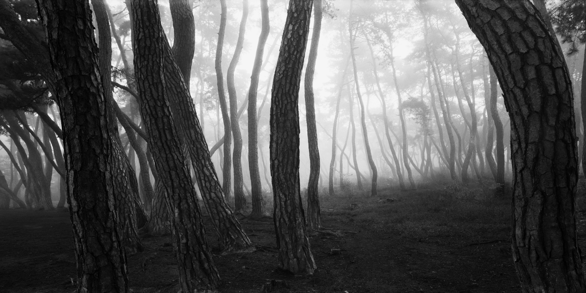 snm1a_157h_5106164_130508