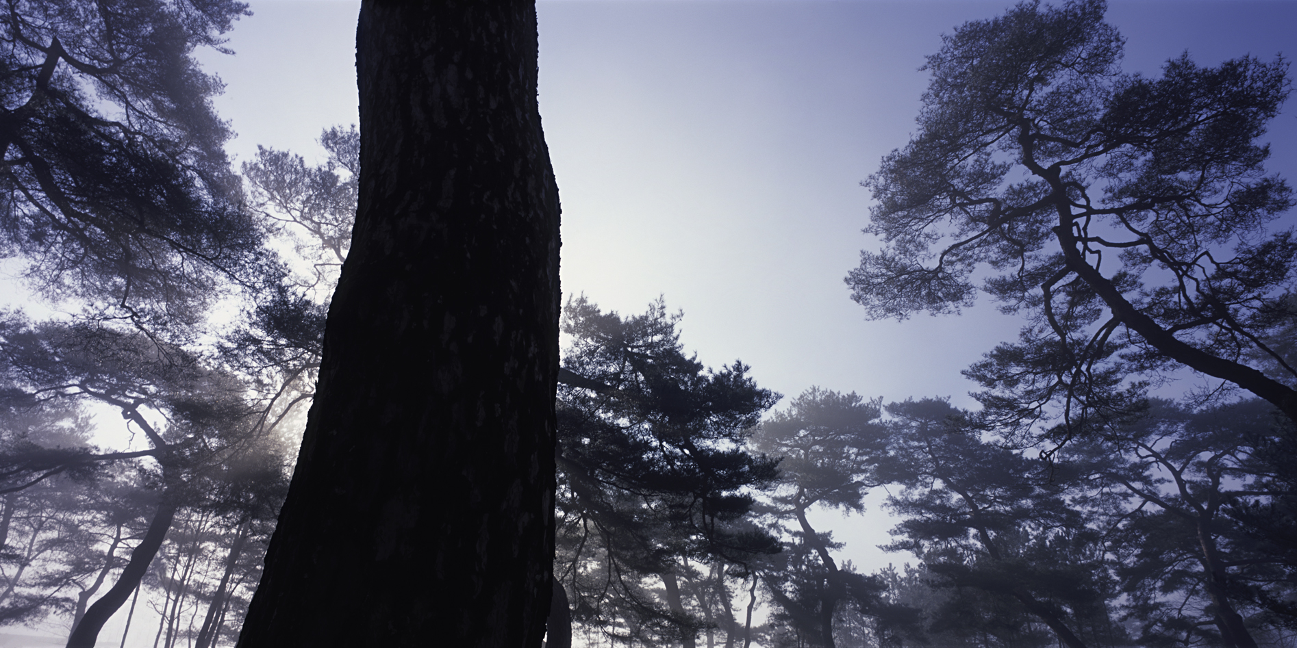 snm1a_158h_5106164_200508