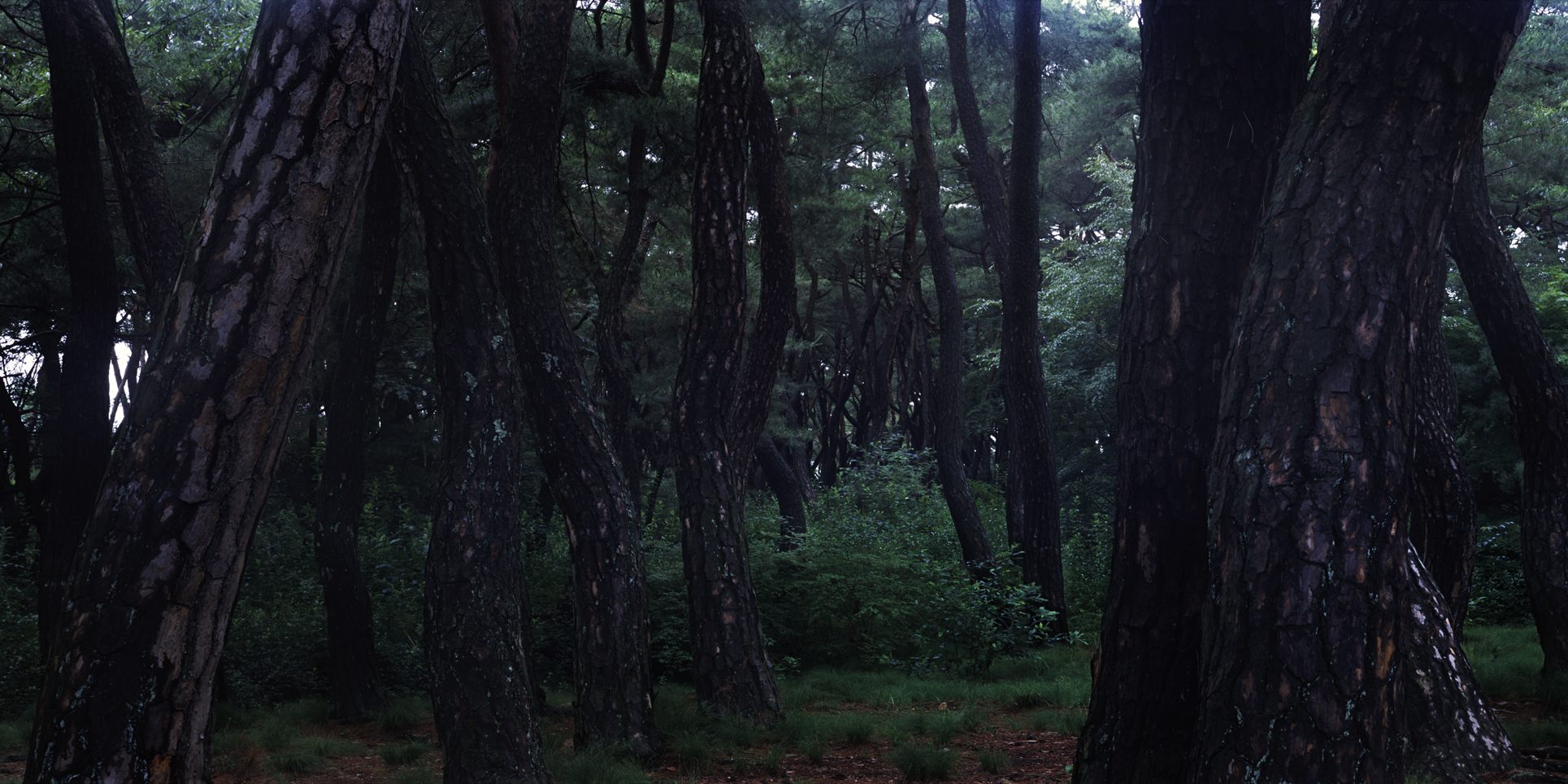 snm1a_159h_5106164_200508