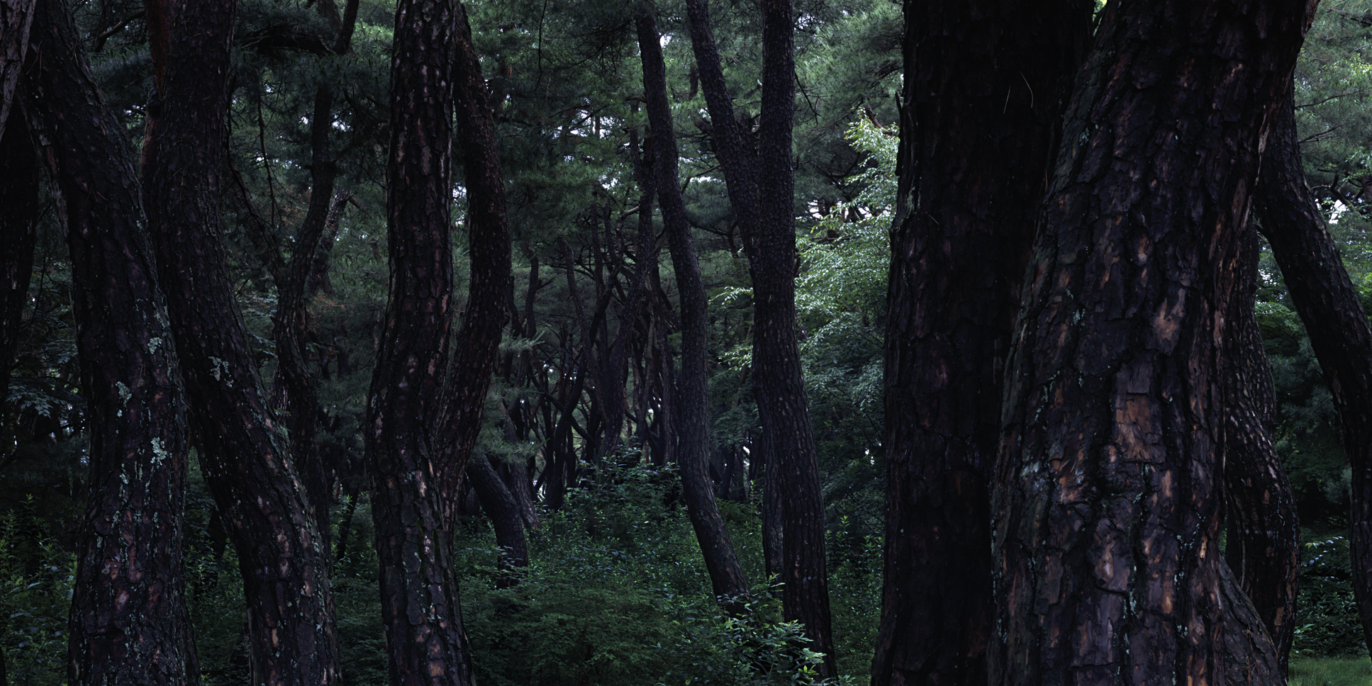 snm1a_162h_5106164_200508