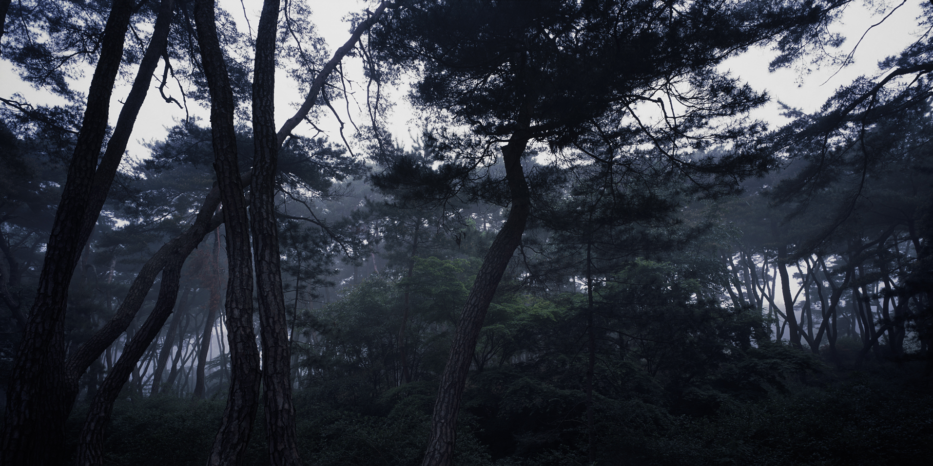 snm1a_163h_5106164_260508