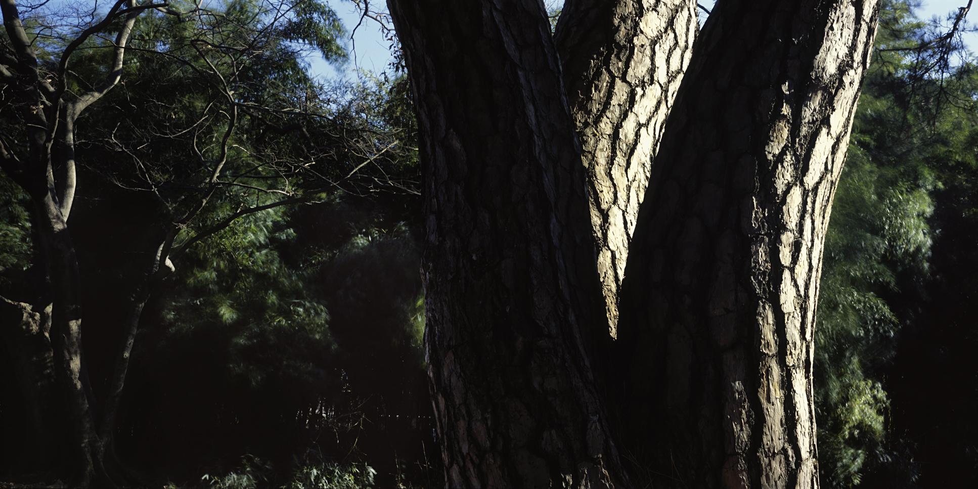 snm1a_164h_5106164_200508