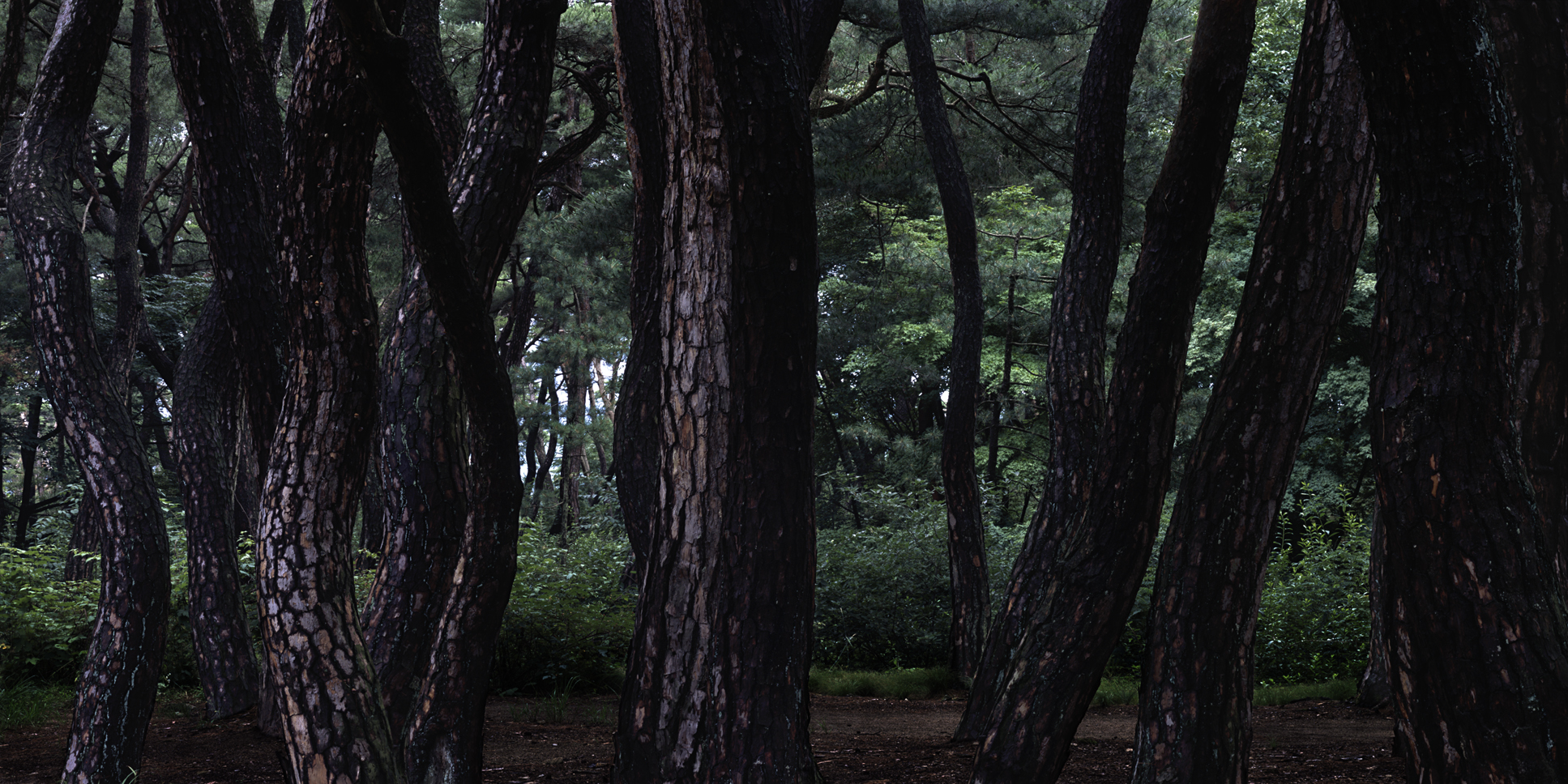 snm1a_165h_5106164_200508