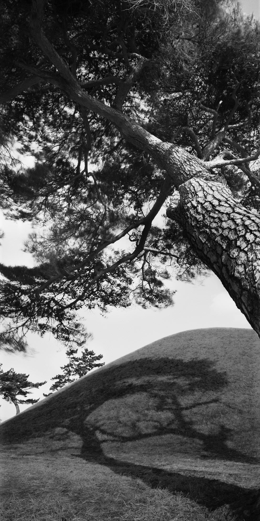 snm1a_167v_5106164_140508