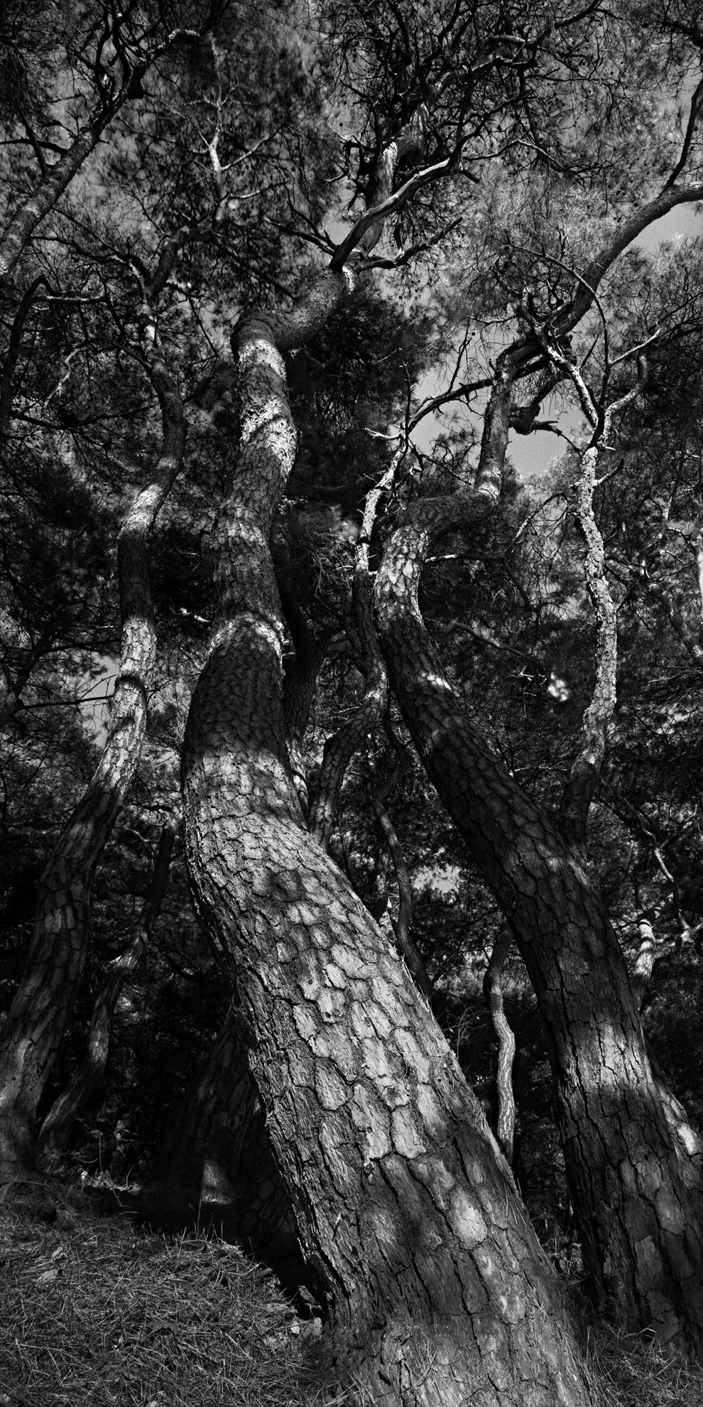 snm1a_168v_5106164_150508