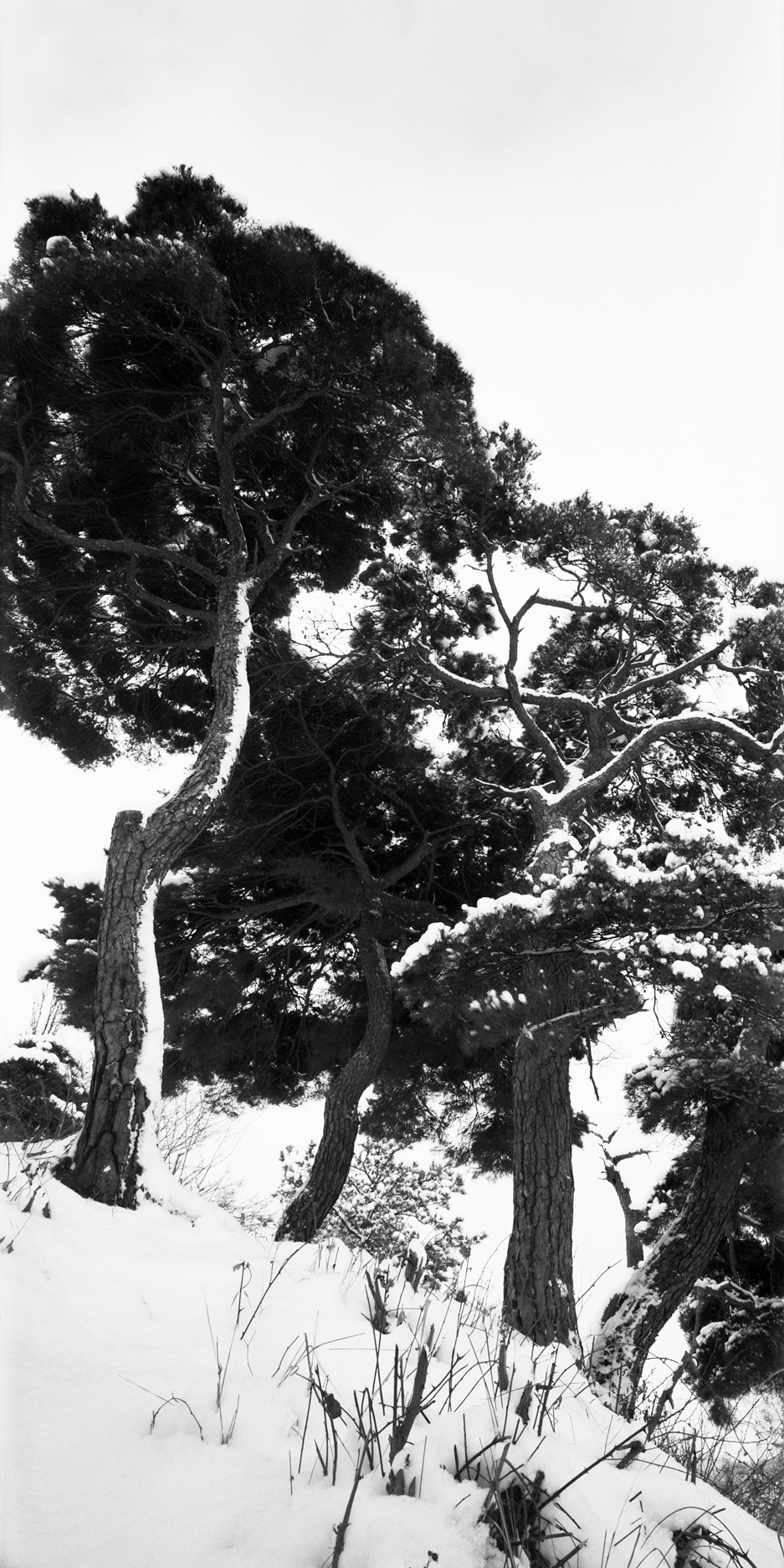 snm1a_197v_5106164_070508