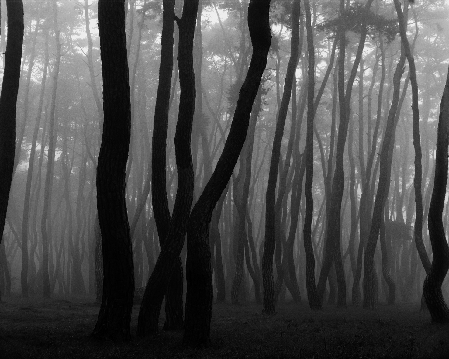 snm2a-001h_5089257_080406