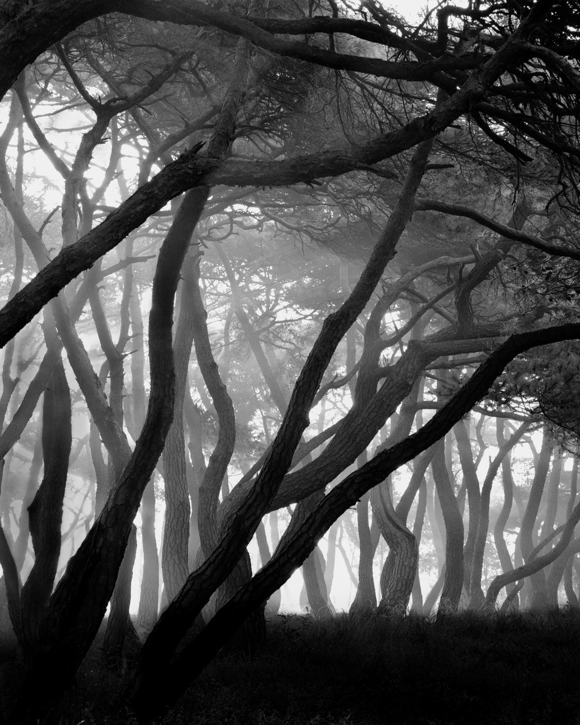 snm2a-002V_5089257_080406