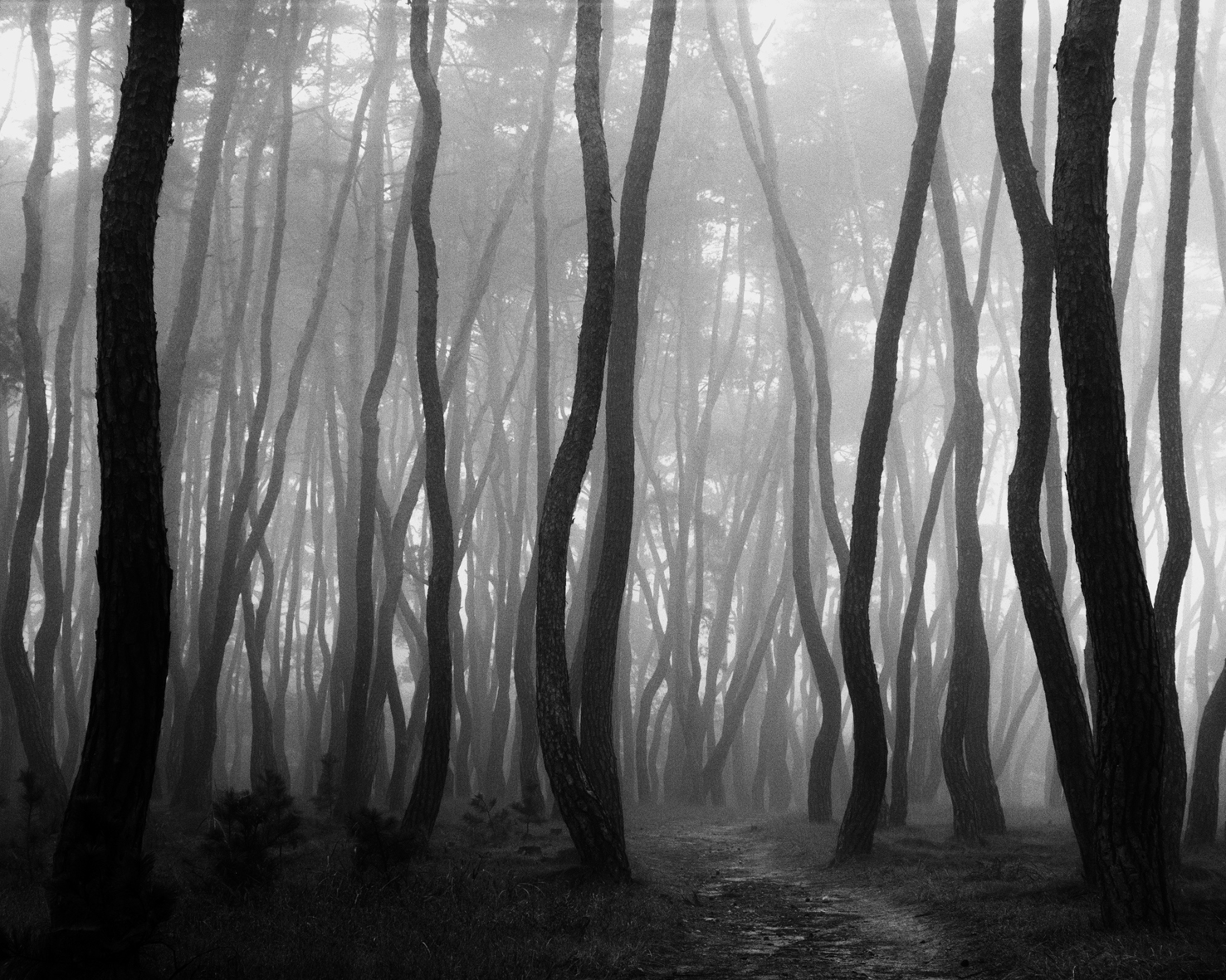 snm2a-003h_5089257_080406