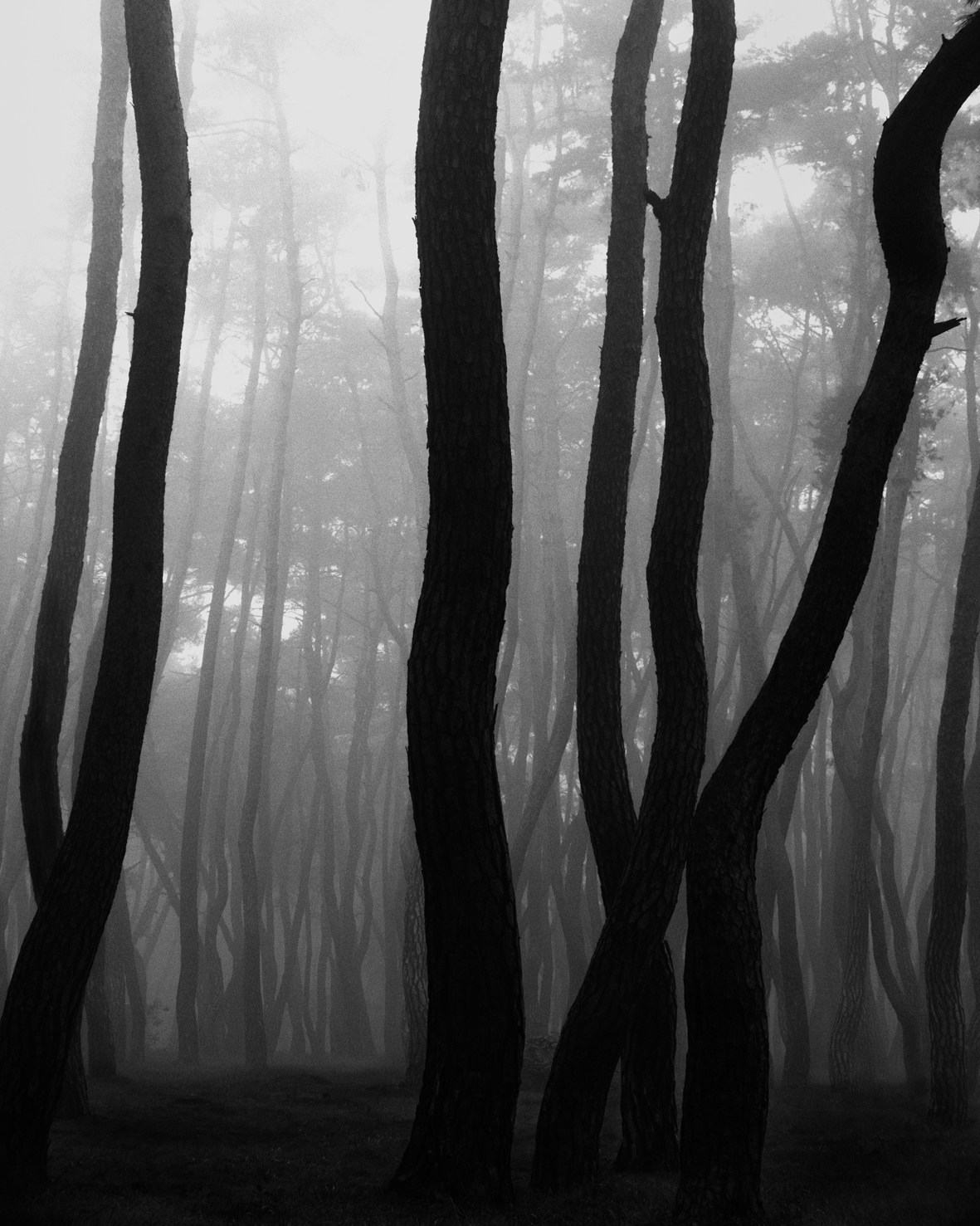 snm2a-004h_5089257_080406