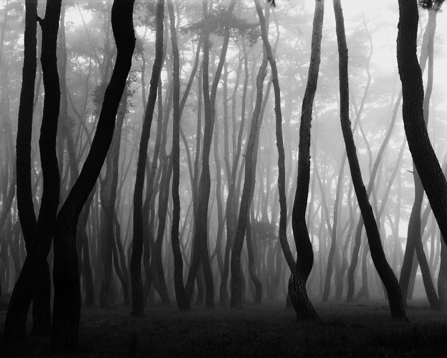 snm2a-005h_5091553_280706