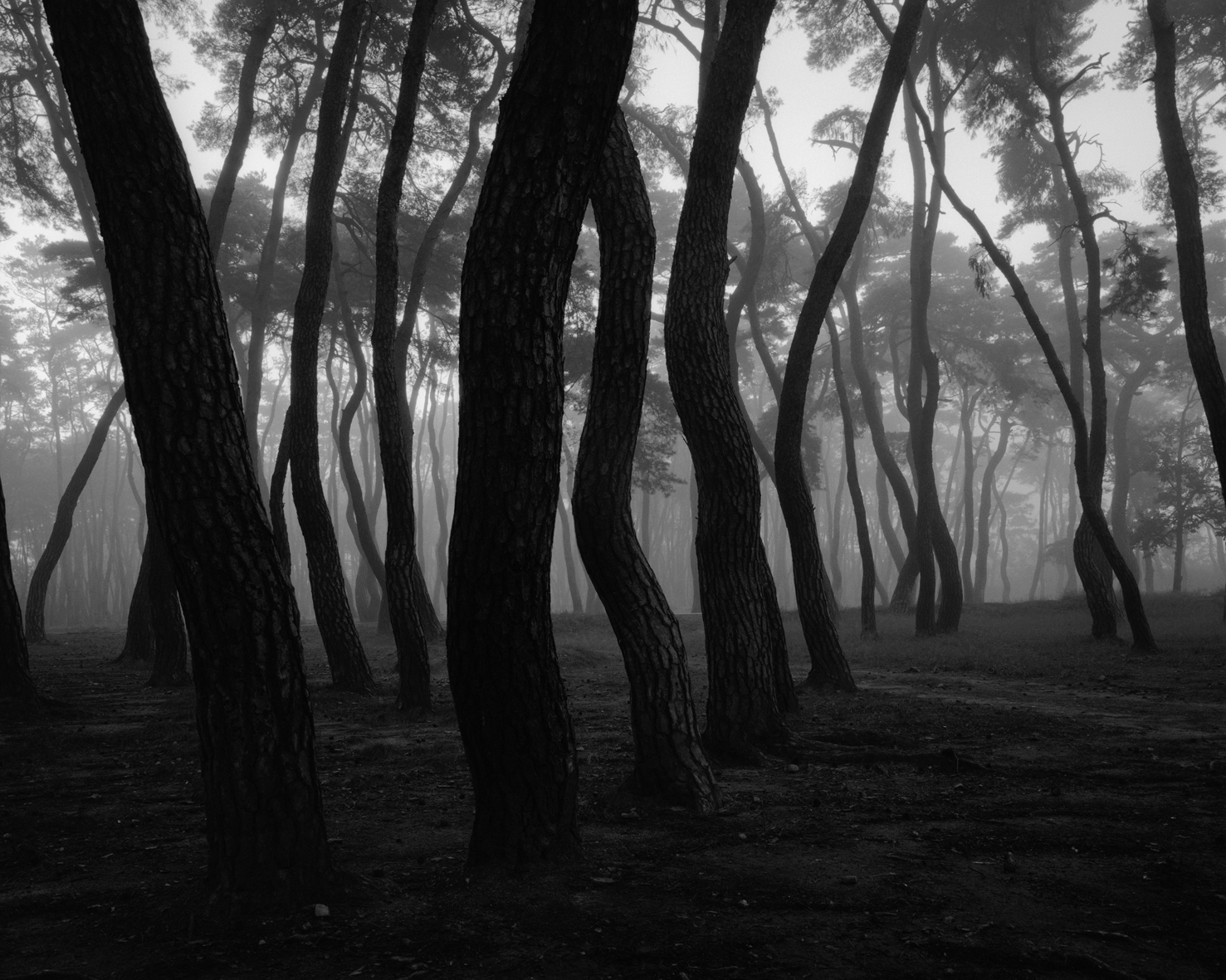 snm2a-006h_5089257_080406