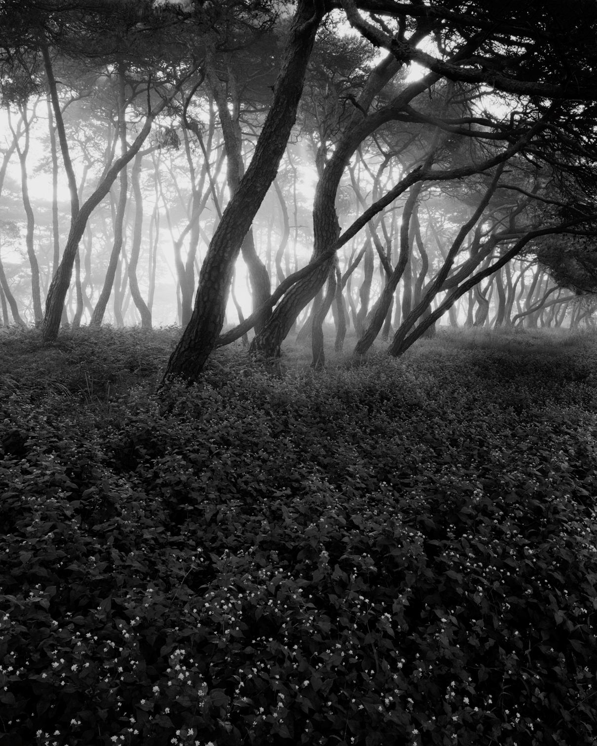 snm2a-008h_5091553_280706