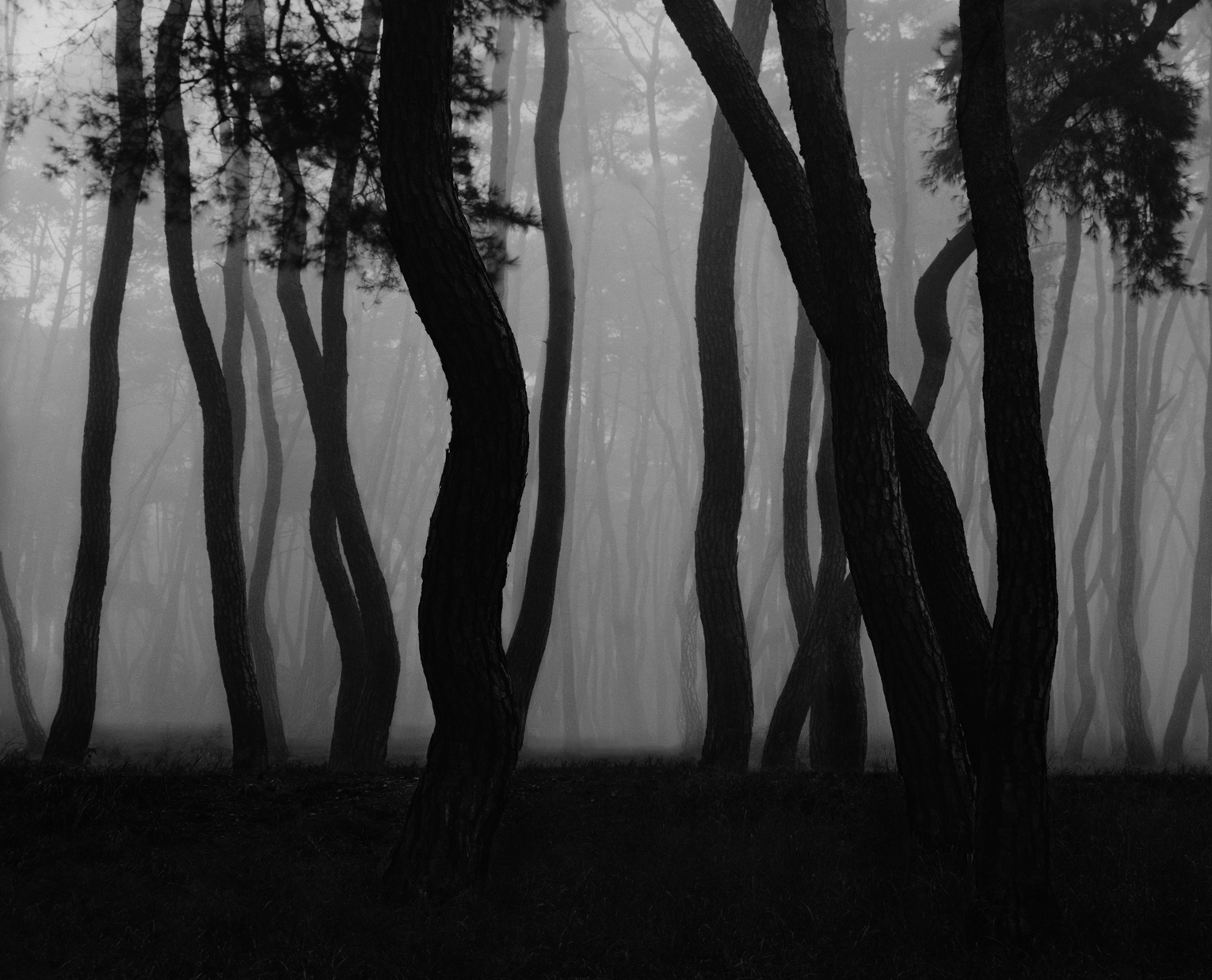 snm2a-009h_5095738_220107