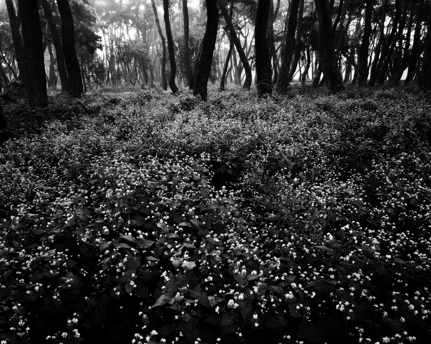 snm2a-010h_5095560_190107