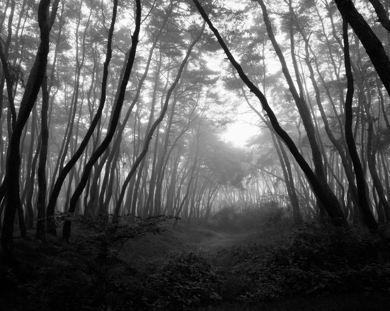 snm2a-011h_5095562_190107