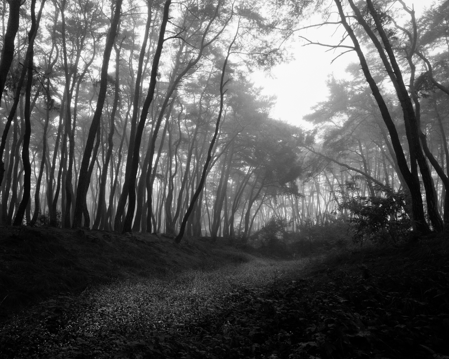 snm2a-012h_5095562_190107