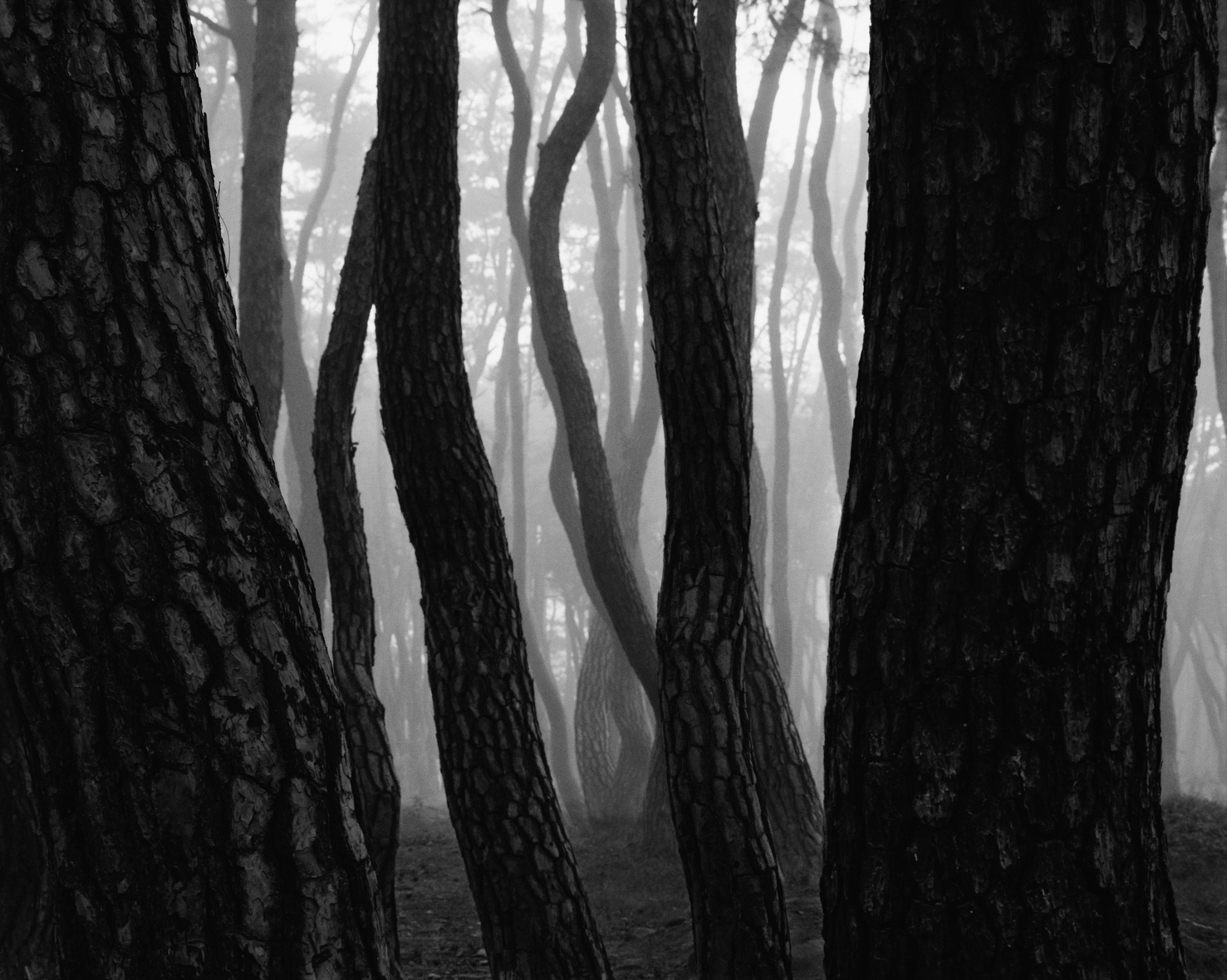 snm2a-013h_5095562_190107