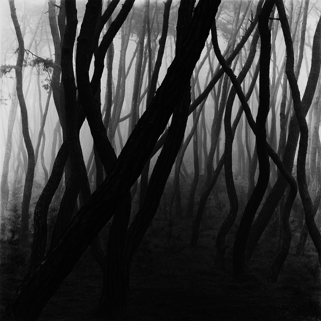 snm3a-002_5083494_300705