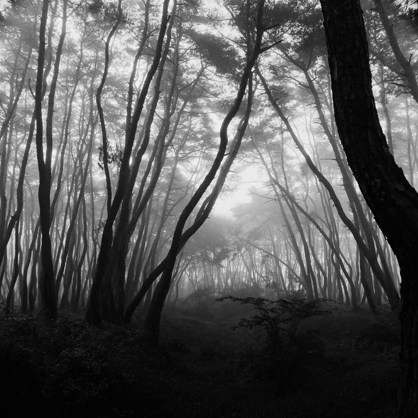 snm3a-003_5089257_080406