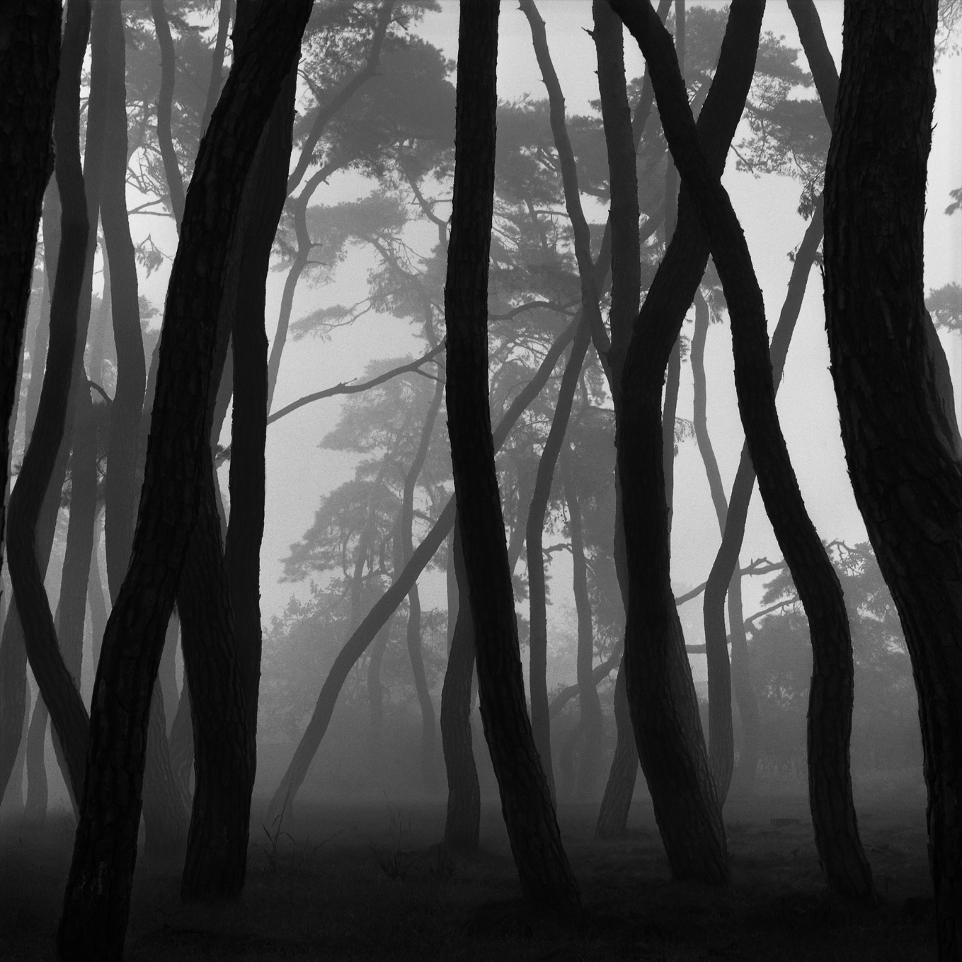 snm3a-004_5095560_190107