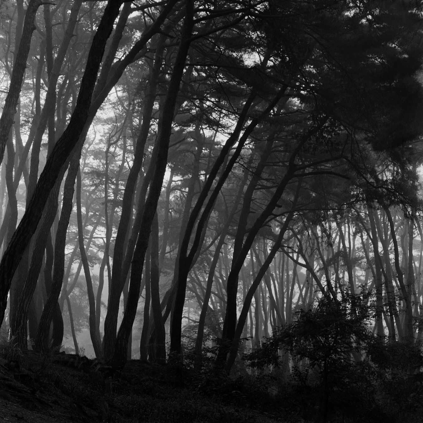 snm3a-005_5095560_190107