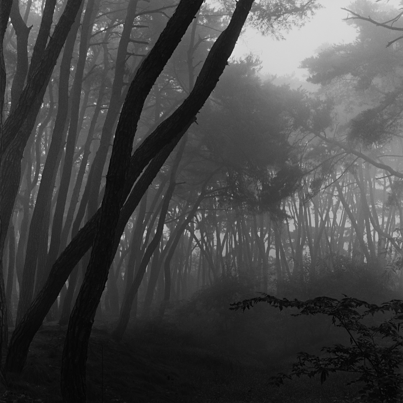 snm3a-011_5104932_250208