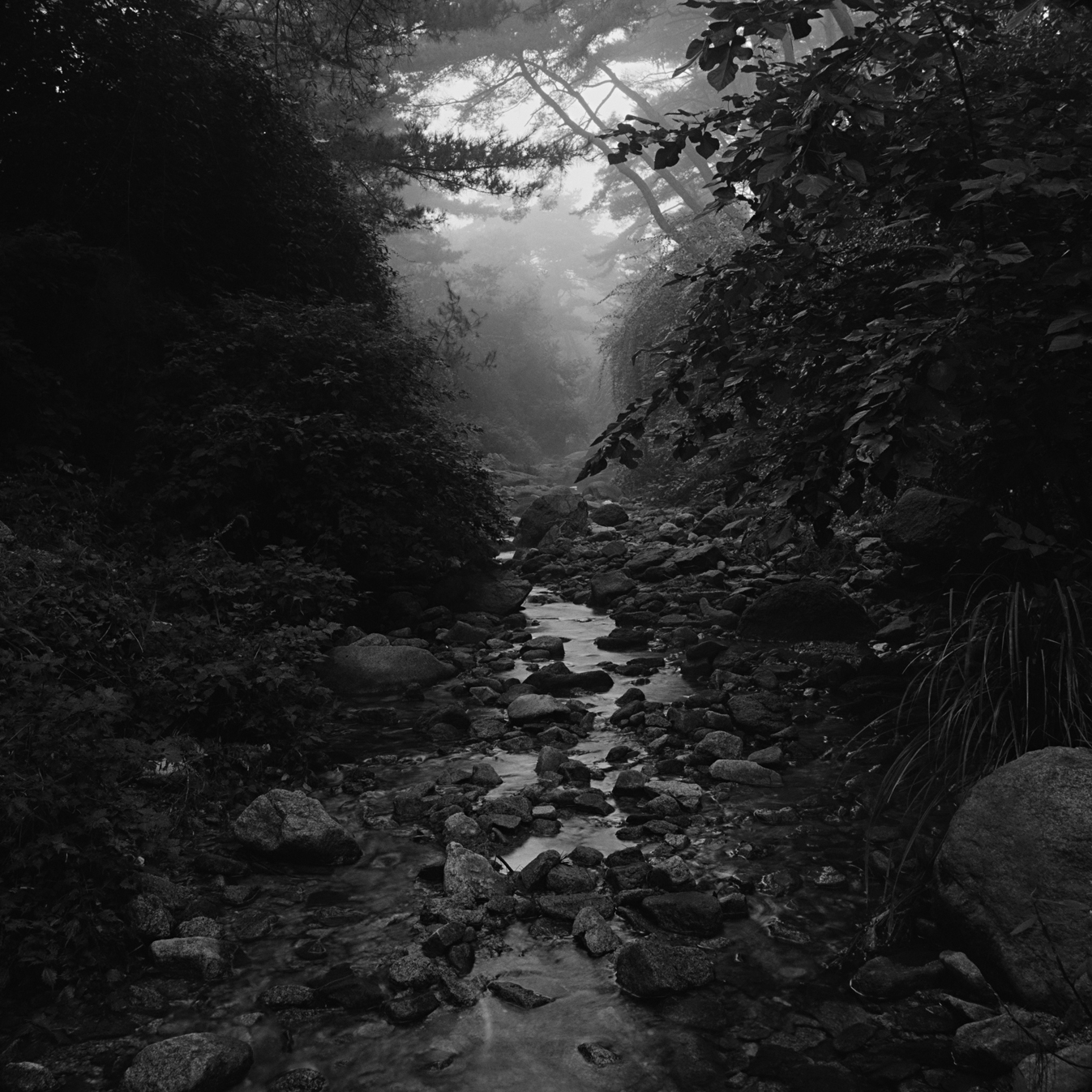 snm3a-013_5104932_210208