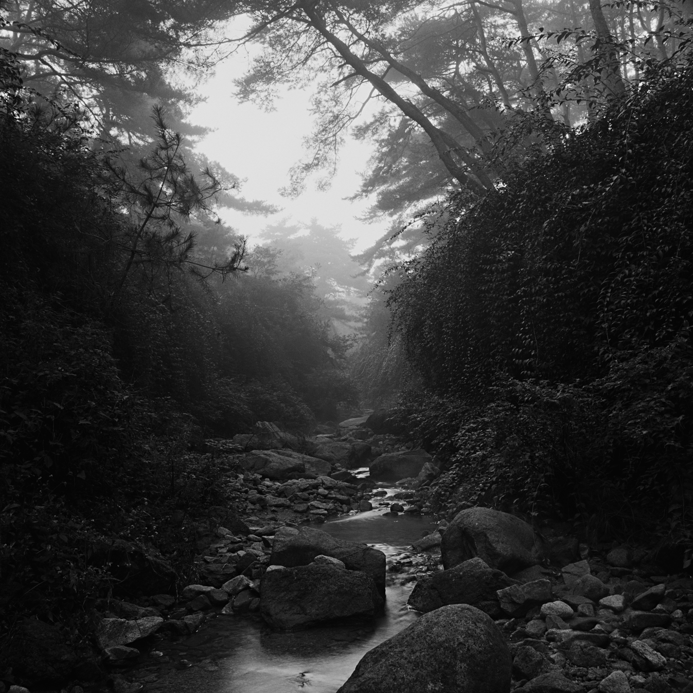 snm3a-014_5104932_250208