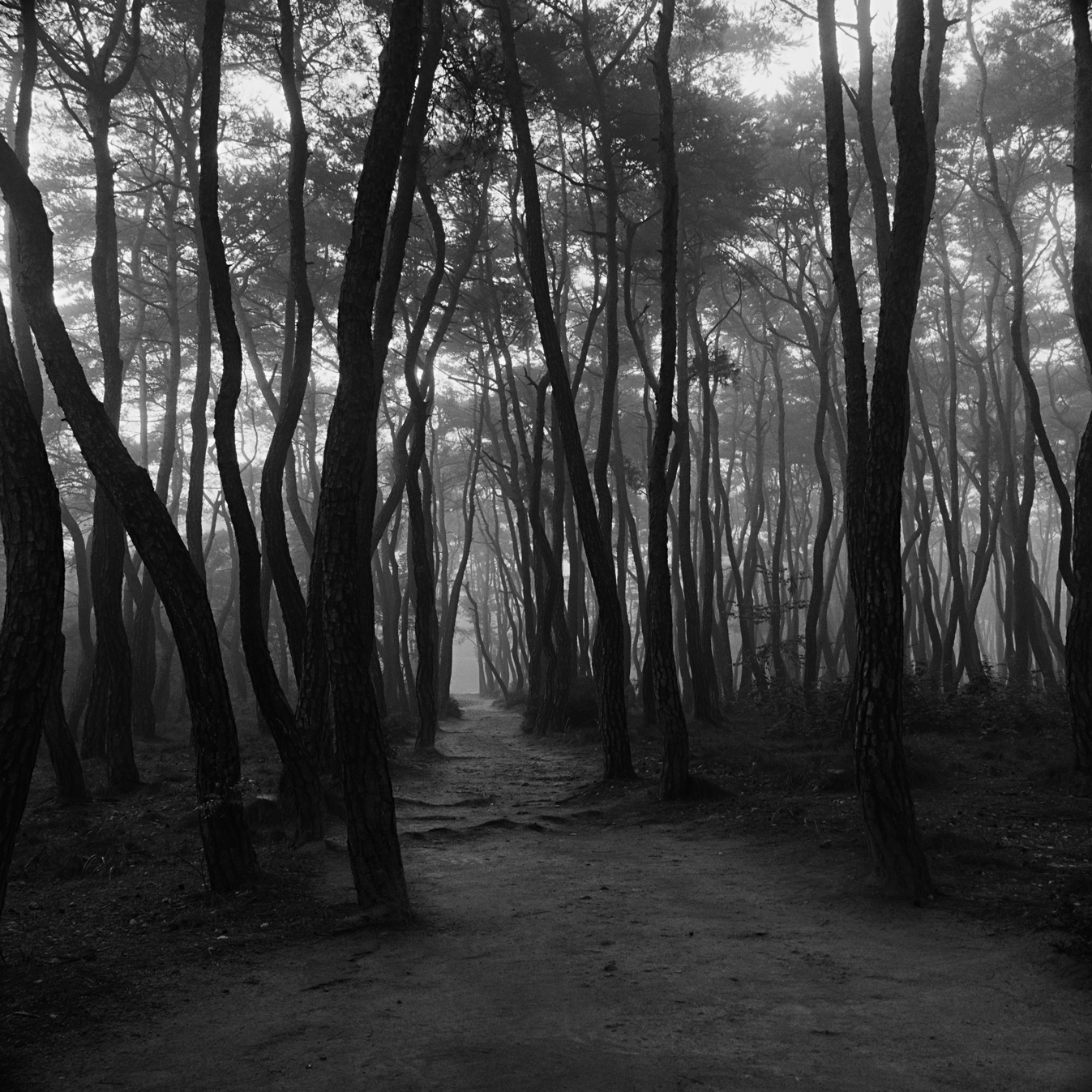 snm3a-015_5104932_250208