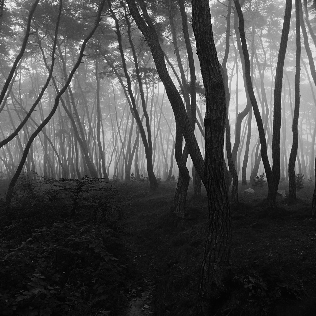 snm3a-016_5104932_250208