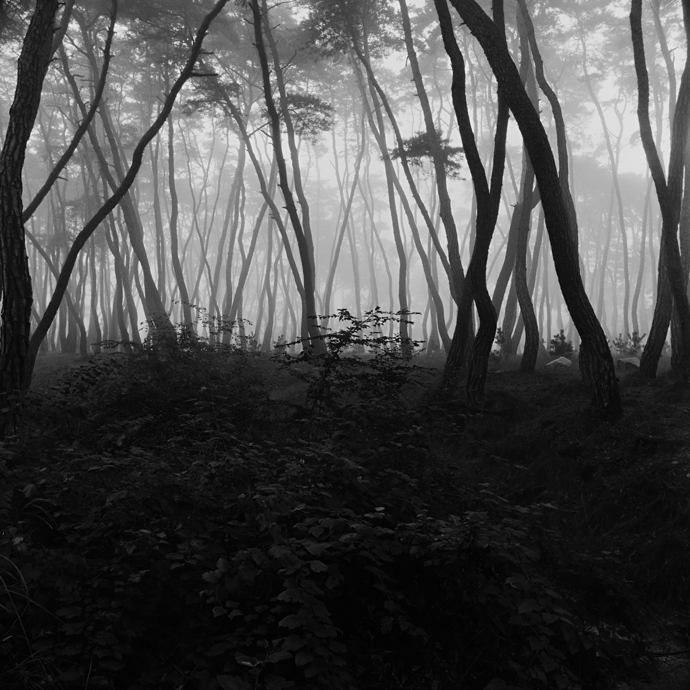 snm3a-017_5104932_250208