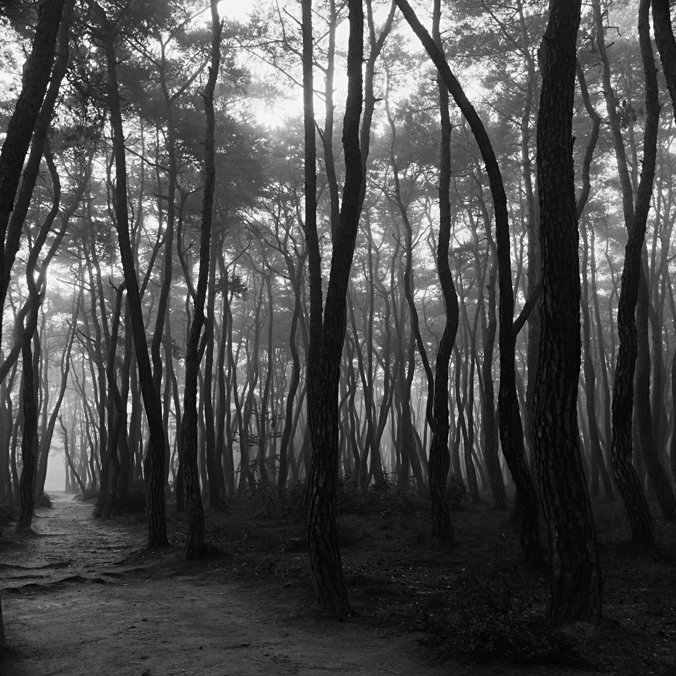 snm3a-018_5104932_210208