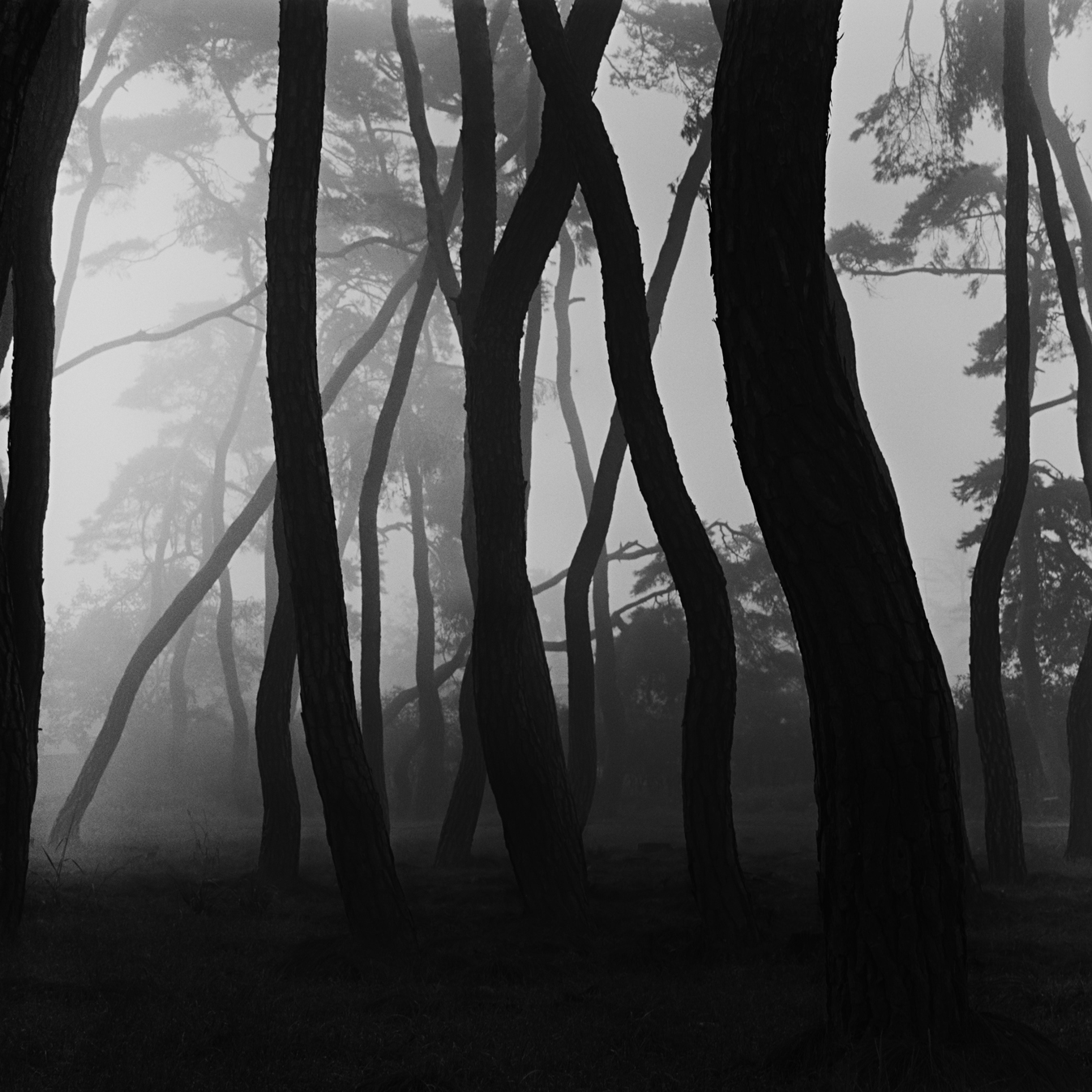 snm3a-020_5104932_250208