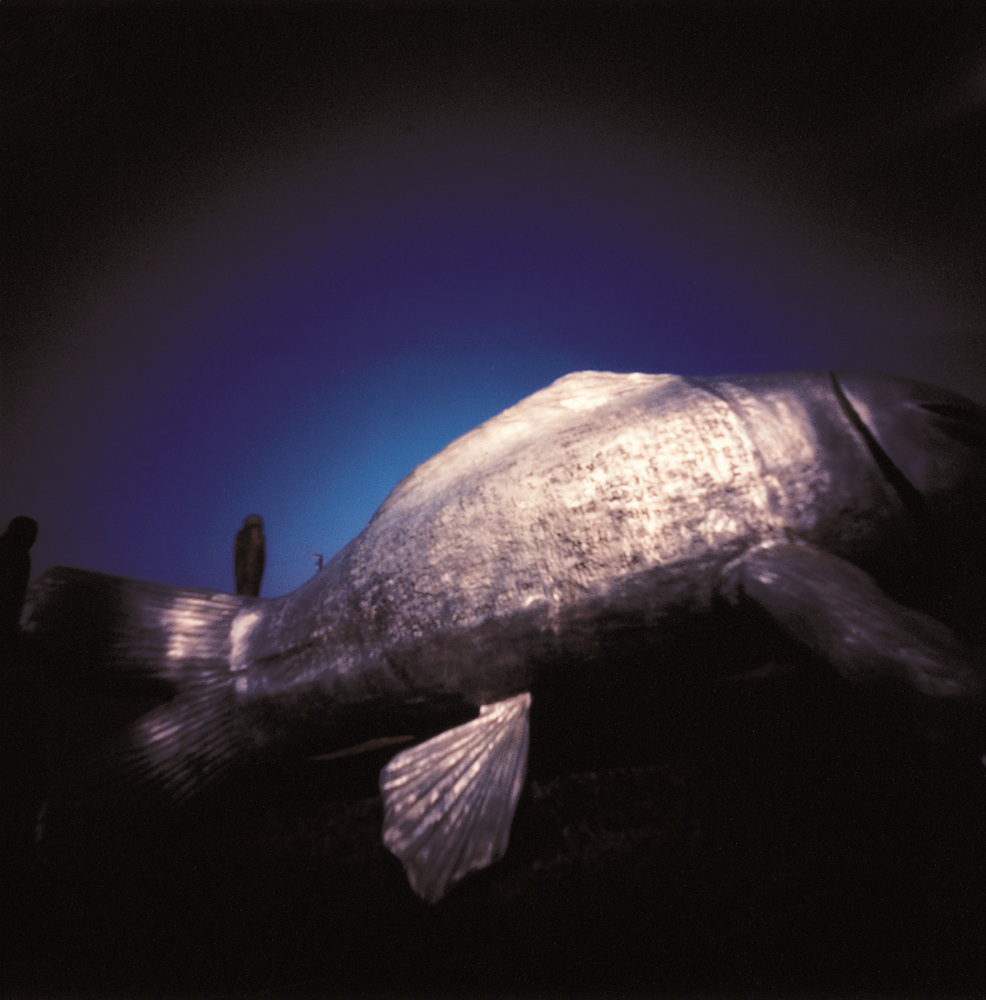 최길남, Promise No.18, Digital C-Print, 120x120cmcm