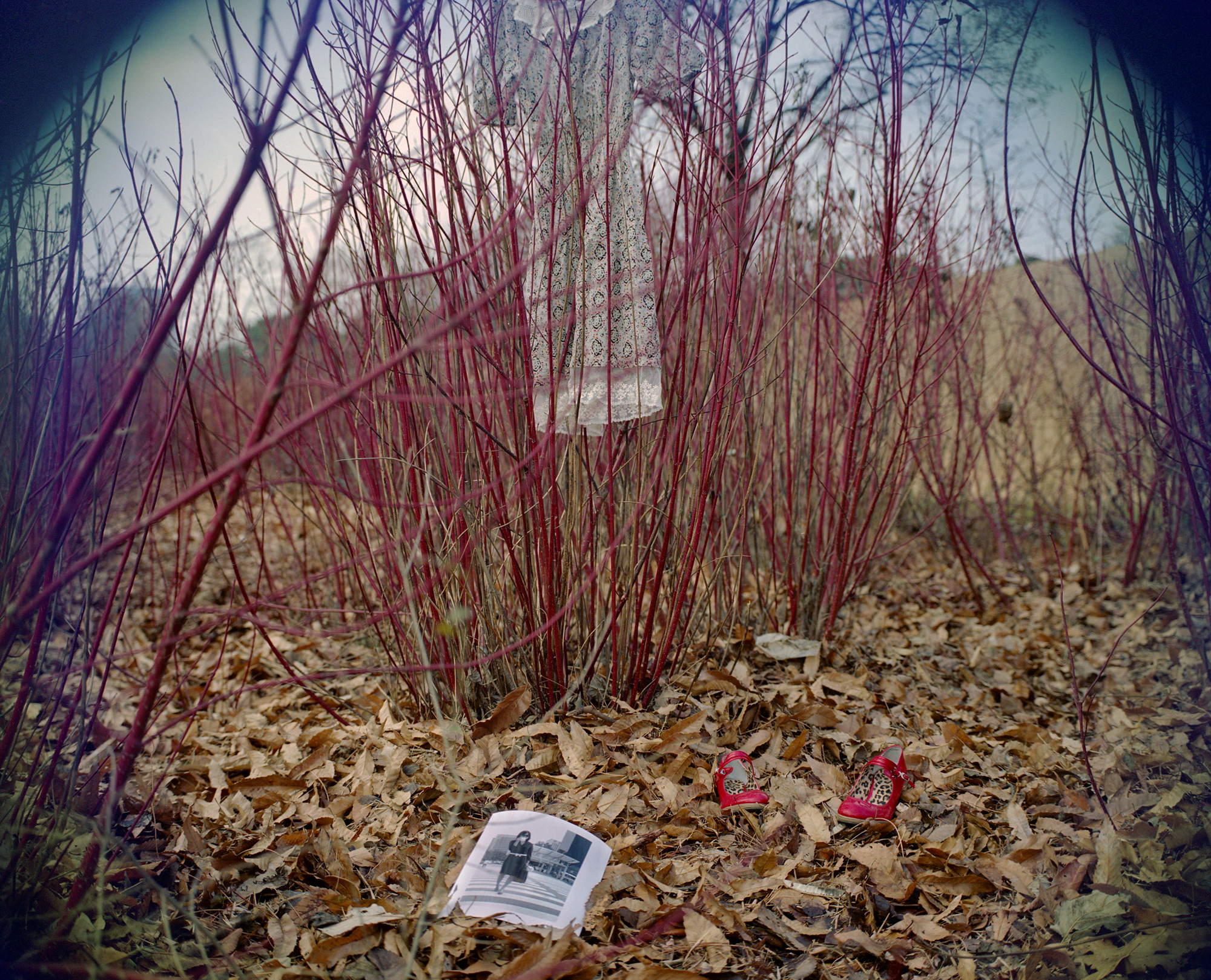 01 이상의 부재, 2006