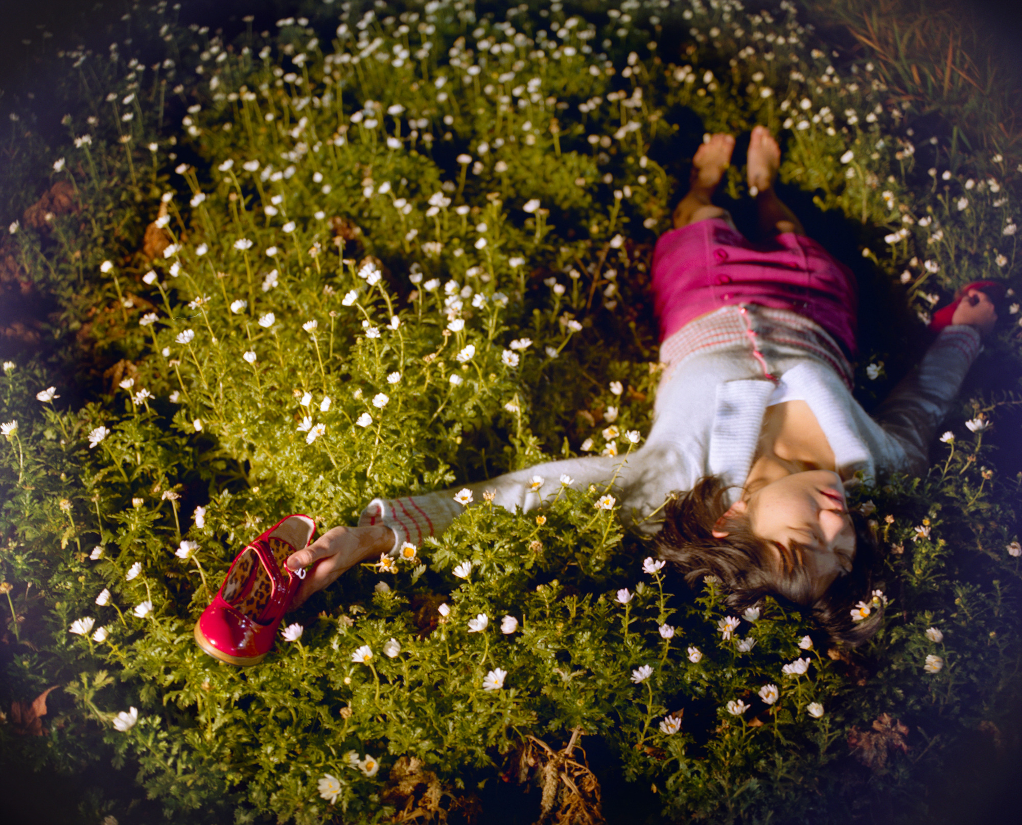 04 이상의 부재, 2006