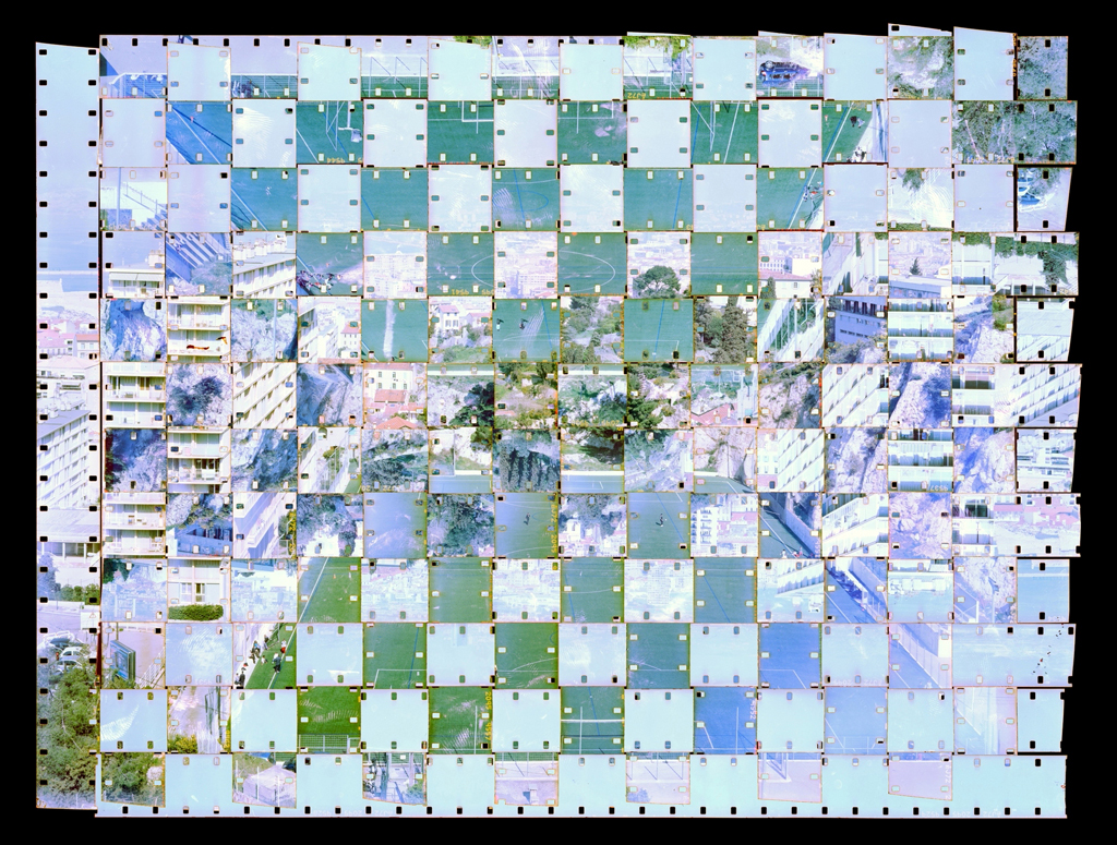 019 separation anxiety