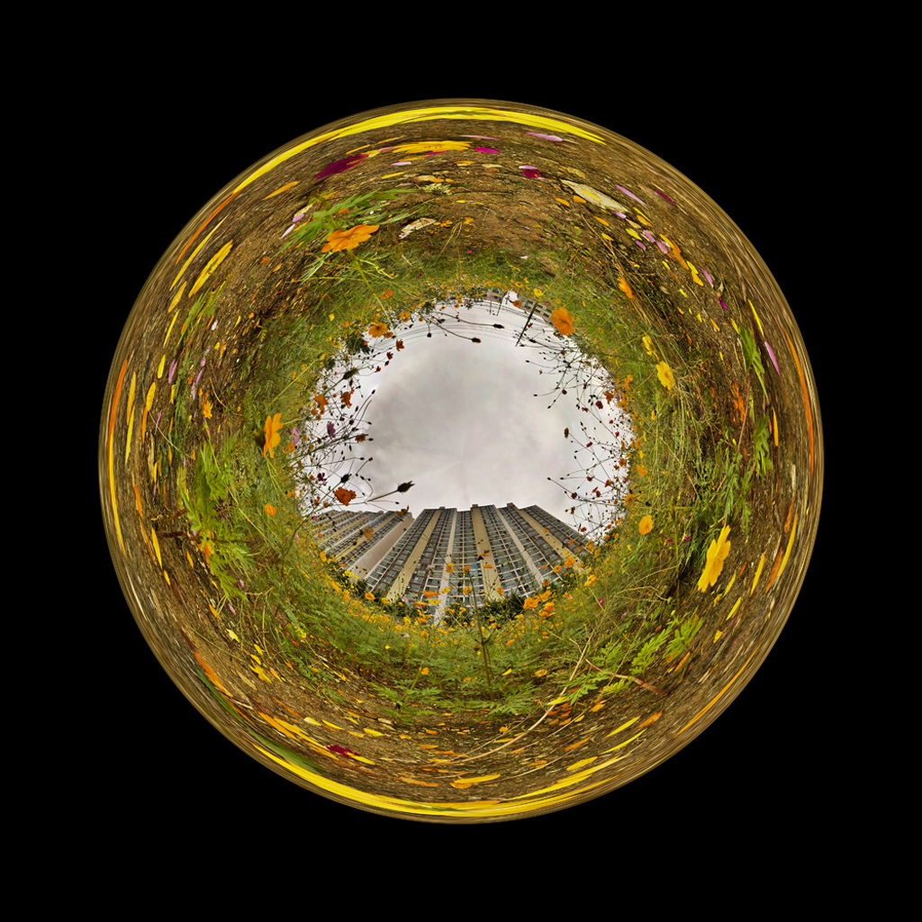 Flower8, Fuji Digital Print, 125 x 123, cm, 2008