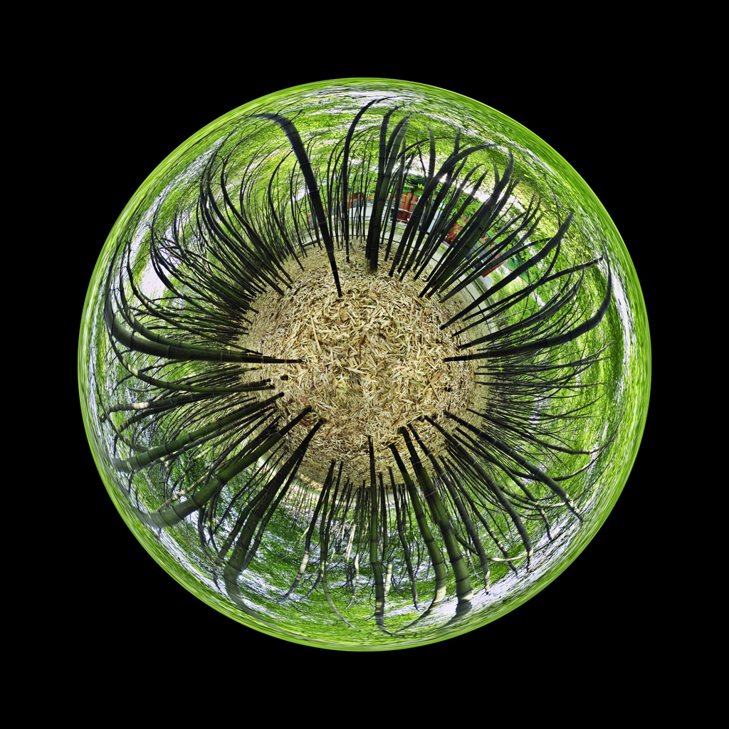 Ojuk Fuji Digital Print 123 x 125 cm 2007