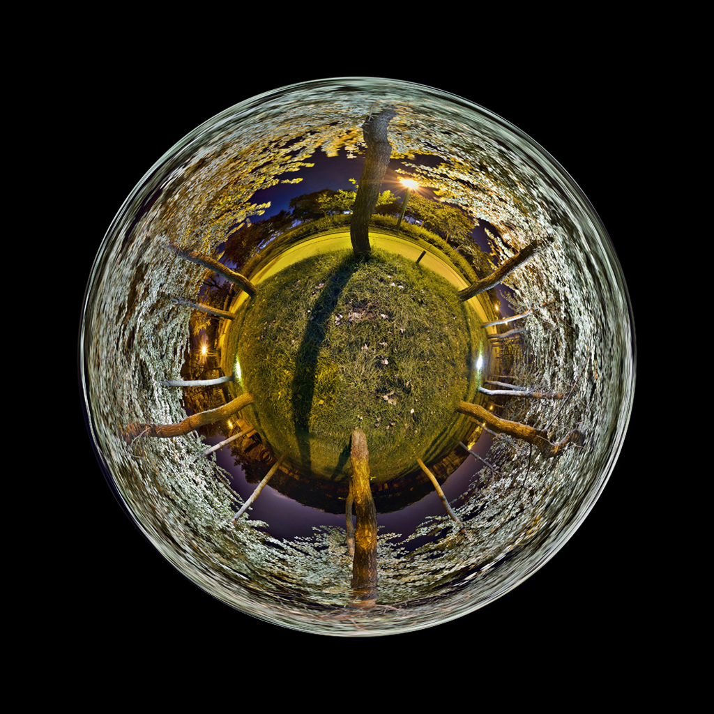 Park4, Fuji Digital Print, 125 x 123, cm, 2008